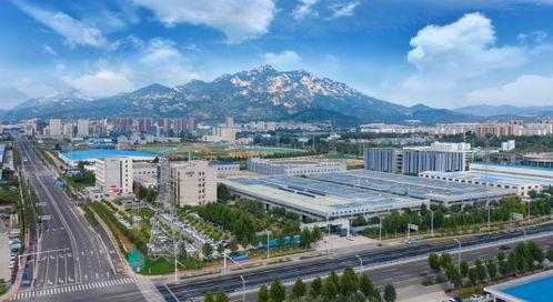 山東大唐宅配家居公司 以 數 提速,以 智 增效,加快轉型升級