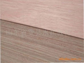 費縣探沂鎮永起板材廠