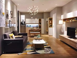 他一語道破了尚品宅配和維意定制的本質