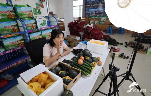 沂南發(fā)展設(shè)施農(nóng)業(yè) 助力鄉(xiāng)村振興