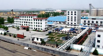 青援集團(tuán)的組織機(jī)構(gòu)